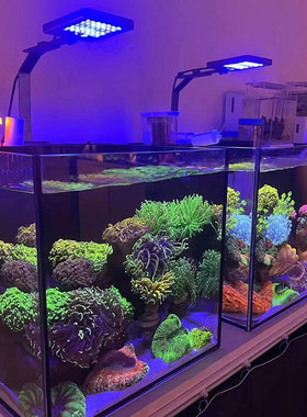 AS背滤海水缸小缸珊瑚缸全套桌面超白玻璃新手 25/30/35/40/45/60