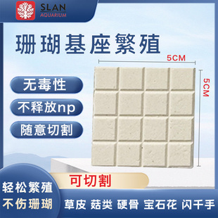 珊瑚基座海水缸SPS纽扣不伤珊瑚断支架托盘珊瑚底座繁殖基座