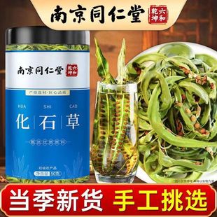 南京同仁堂化石草云南野生肾散结石排石正品中药材肾精茶紫蓝草猫耳草猫须草养生茶泡酒石苇肾精茶肾精草嗷嗷叫