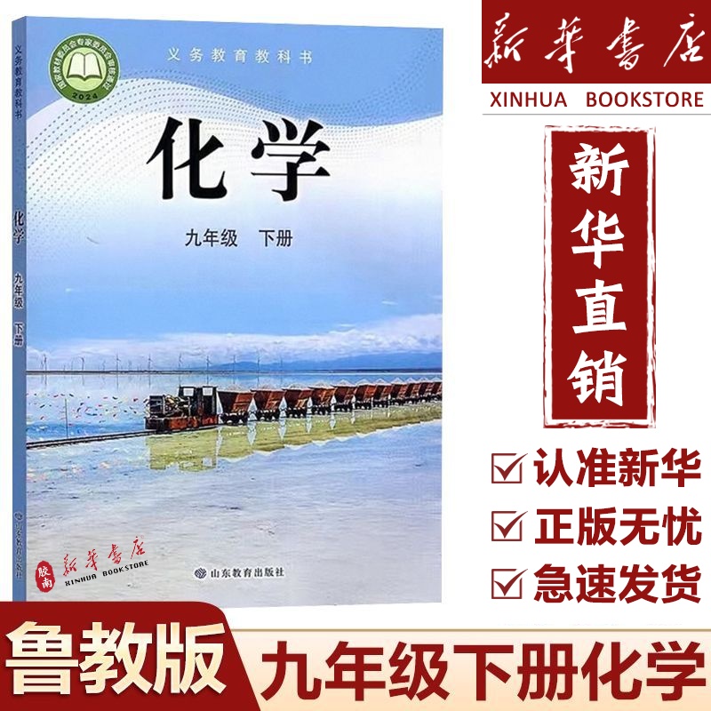 初中化学九年级下册化学书