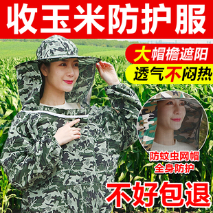 掰玉米干农活防护衣服帽子玉米地防刮脸防过敏收割棒子防蛰防蚊虫