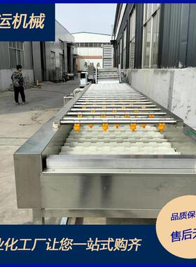 金桔全自HSM动气泡清洗机大枣清设备清大姜去泥设备玉米清洗洗洗