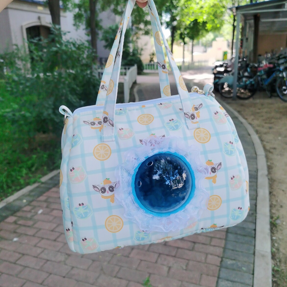 透明四季蜜袋鼯外出包太空舱仓鼠花枝鼠外带包仓鼠金丝熊牡丹鹦鹉