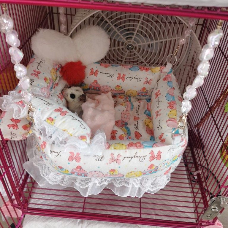 小宠吊床吊床外出棉窝夏天用公主床蜜袋鼯睡袋吊床貂小宠窝花枝猫