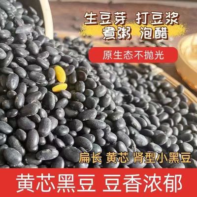 肾形黑豆 5斤非转基因农家自种黑黄豆打豆浆发豆芽有机黄心黑小豆