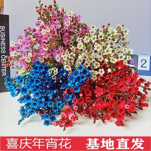 澳洲腊梅鲜花云南基地直发过年宵鲜切花水养培植物室内花卉盆栽