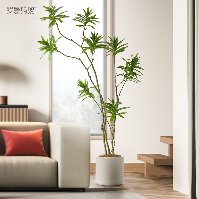大型绿植百合竹客厅绿植物室内盆栽金边金心真花百合树竹造型老桩