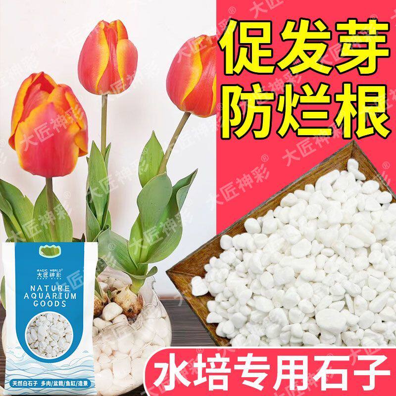 小白石子白石头鹅卵石雨花石花盆盆栽鱼缸底部砂石造景多肉铺面石