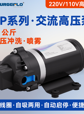 DP-160S超高压力自吸泵110v 220v加压喷雾机器纯净水设备增压水泵