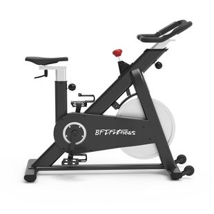 动感单车女健身车家用脚踏室内运动飞轮自行车减肥健身房锻炼器材