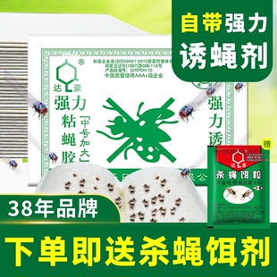 达豪粘蝇纸胶苍蝇贴家用强力粘蝇板沾蚊杀手灭蝇子捕捉神器一扫光