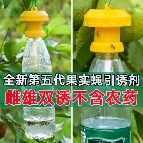 果园果实蝇针锋引诱剂