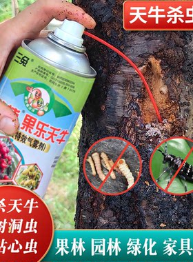 天牛克星树洞虫杀钻心虫