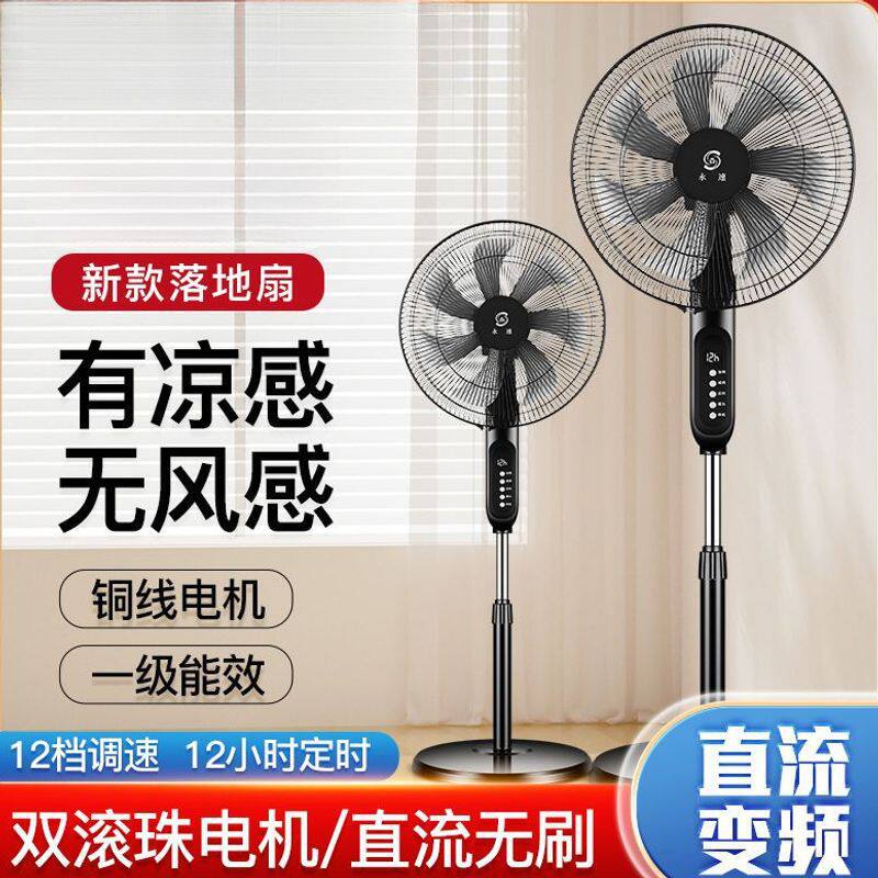 电风扇家用无刷落地扇直流变频一级能效立式轻音循环可充电源头