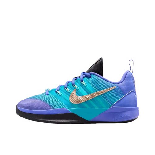Nike Sabrina 3 篮球鞋 舒适 IQ0831-500 发广东BB下单请看详情F