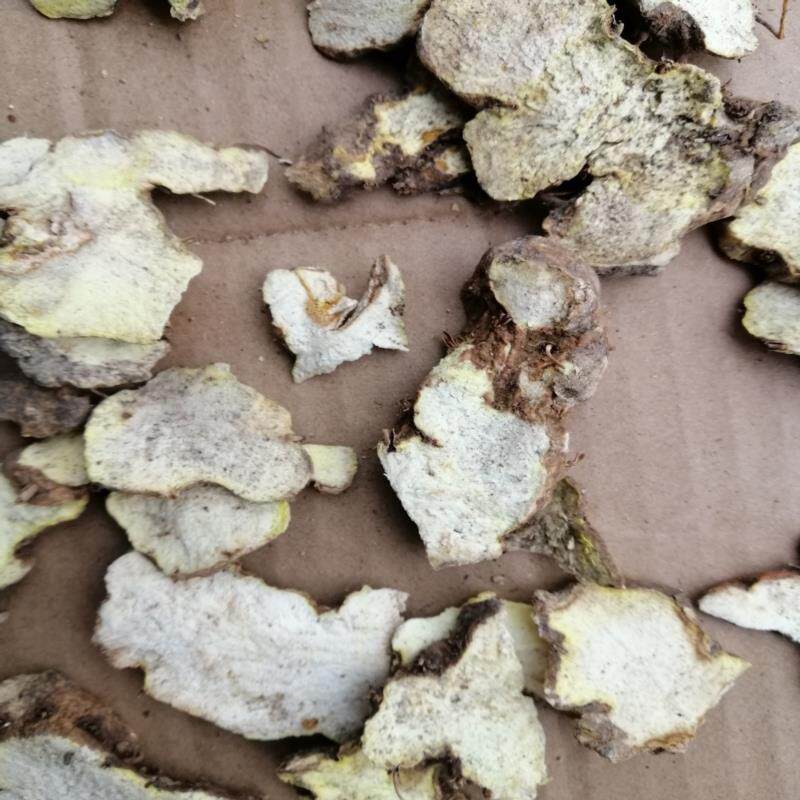 贵州野生黄山药 野黄姜野山姜 切片枕头根黄连参野芋姜薯蓣500g