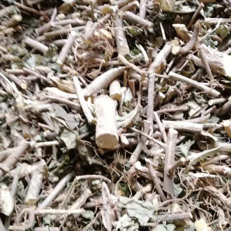 贵州中药材臭常山臭羊山 臭苗 大山羊 骚牯羊 栀子黄 和常山250克
