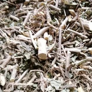 贵州中药材臭常山臭羊山 臭苗 大山羊 骚牯羊 栀子黄 和常山250克