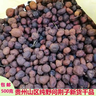 问荆果贵州野生农家自晒节节草接续草马草笔头菜 接续草根果100克