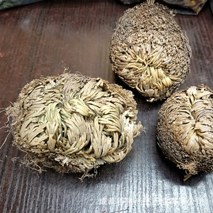 贵州野生卷柏500克中药材 九死还魂草小卷柏还魂草长生草农家自晒