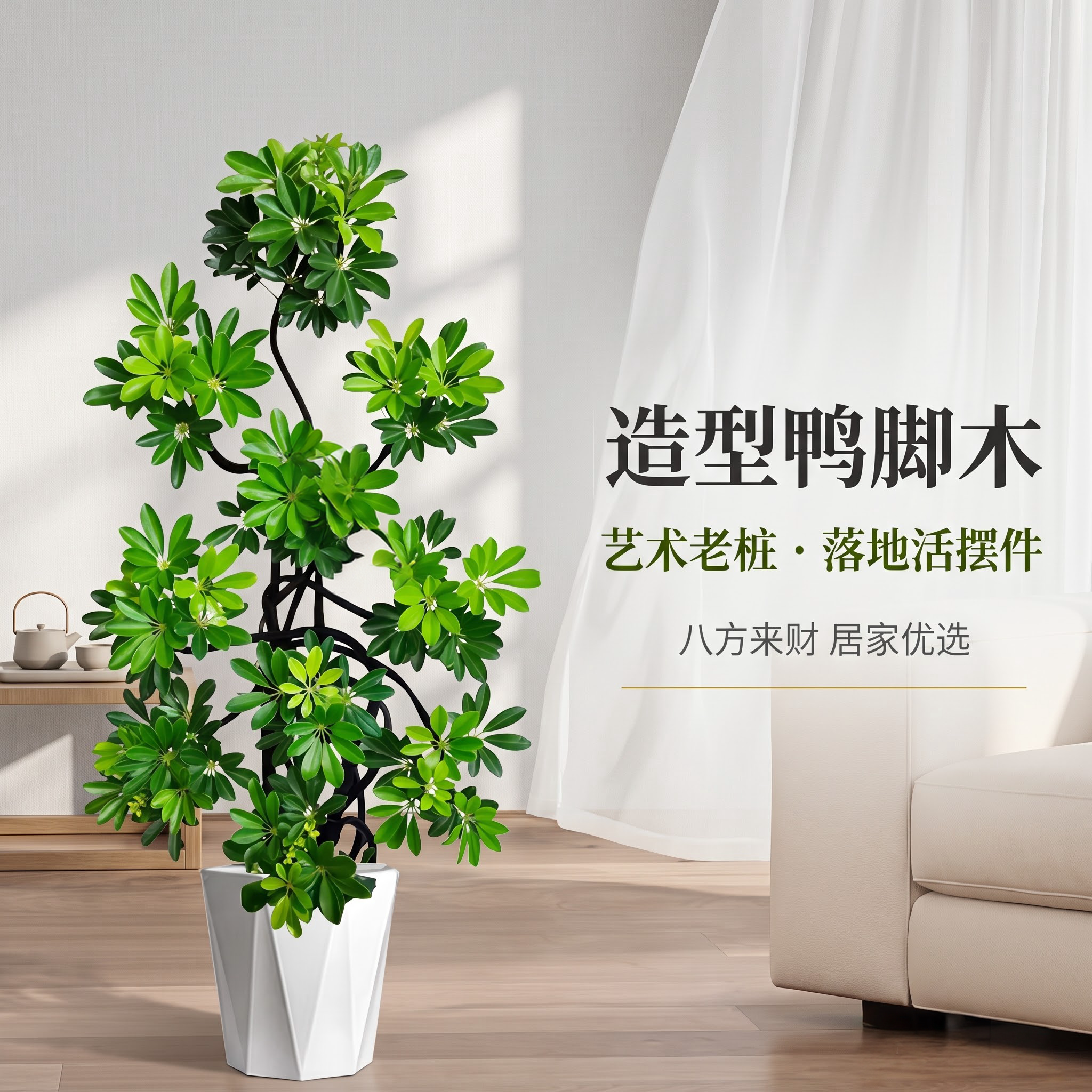 造型鸭脚木大型绿植客厅室内落地盆栽八方来财招财树简约现代风