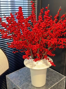 年宵花北美冬青鲜切枝盆栽蝴蝶兰跳舞兰大花惠兰五代同堂果鲜花