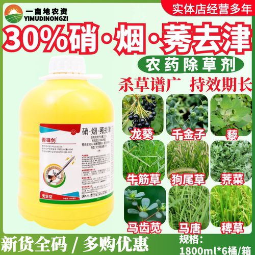米粒青锋剑30%硝·烟莠去津可分散油悬浮剂玉米一年生杂草除草剂