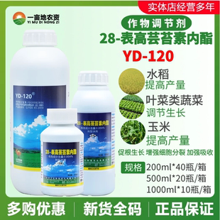 云大120万保28表高芸苔素内脂28表芸苔素小麦生长农药调节剂