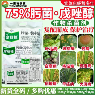 拜耳 拿敌稳75%肟菌戊唑醇 肟菌酯叶枯病黑星病稻瘟病农药杀菌剂