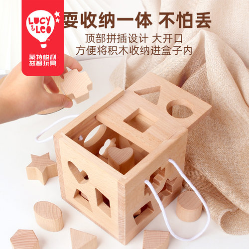 Lucy&Leo多孔形状配对积木智力盒
