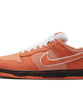 CONCEPTS x Nike Dunk SB 
