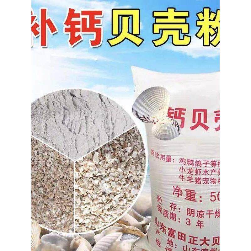 牡蛎粉饲料高钙贝壳蛋鸡