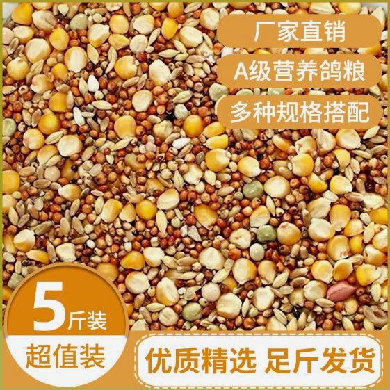 鸽子食粮鸽粮食鸽子粮鸽粮发 批幼鸽鸽粮有玉米无玉米清除鸽粮5斤