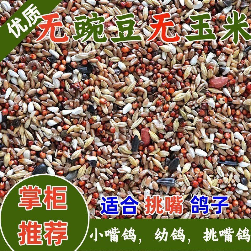 幼鸽鸽粮无玉米无豌豆鸽子饲料鹦鹉喷窝小嘴小鸽子粮食幼鸽鸽子料