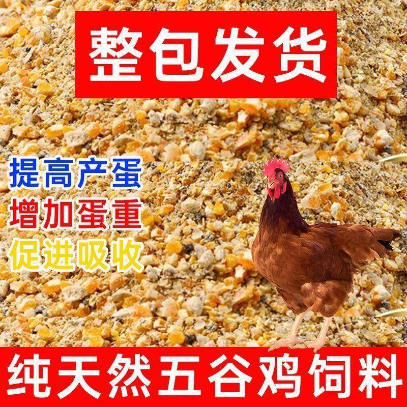 蛋鸡饲料中大鸡专用便宜