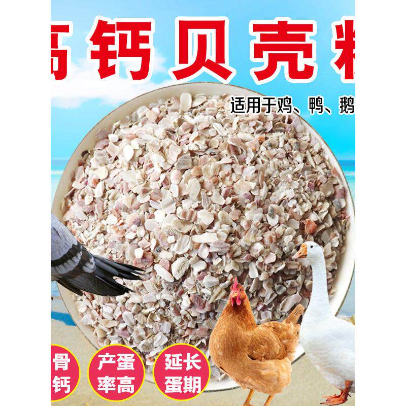 家禽贝壳粉饲料鸡啄毛鸡