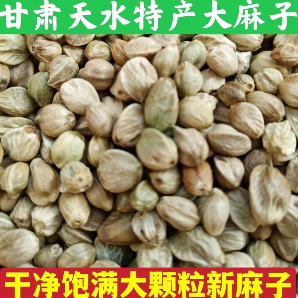 甘肃麻子油,甘肃麻子_大山谷图库