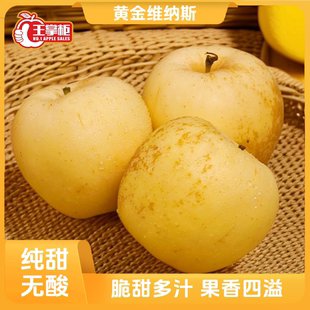 黄金维纳斯苹果 山东烟台 4.5斤装 王掌柜