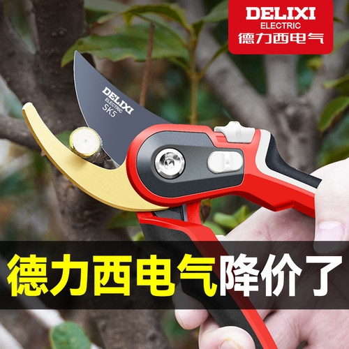 德力西园艺果树修枝剪园林枝剪