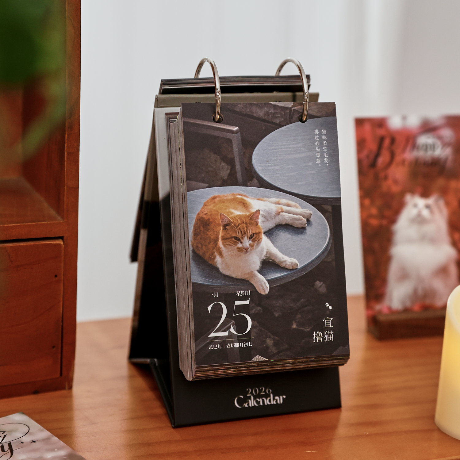 盐岛时光2026年猫的行迹日历