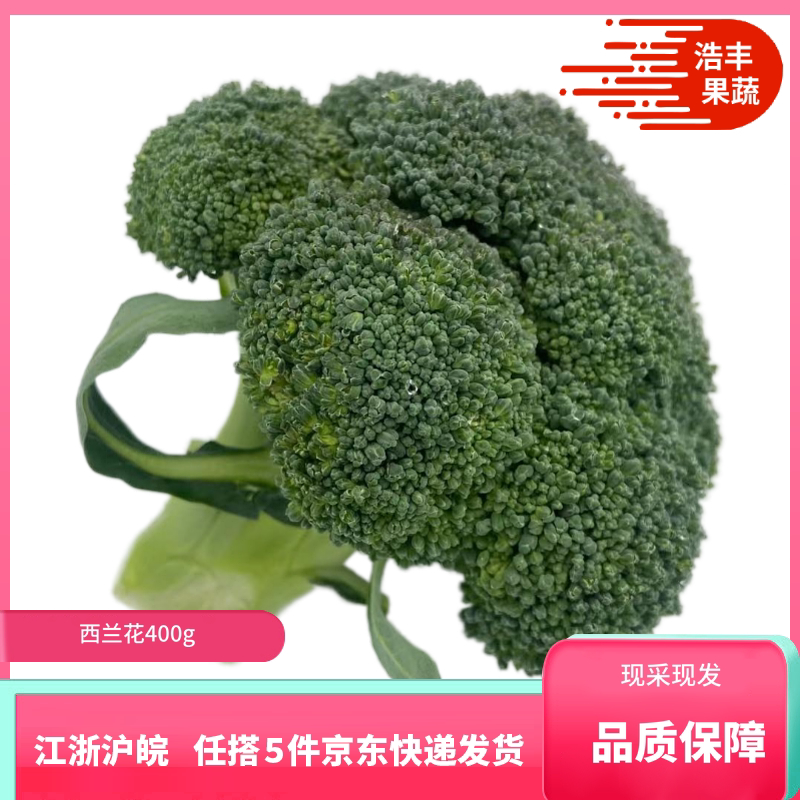 浩丰果蔬 西兰花400g西蓝花绿花菜新鲜蔬菜食用农产品清炒凉拌