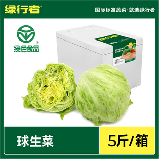 生吃包装 球生菜圆形生菜汉堡用新鲜蔬菜沙拉色装 圆生菜 绿行者