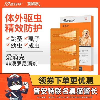 普安特爱滴克猫咪狗狗体