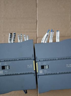 226-6BA32-0XB0 SM1226 F-DI DC议价商品