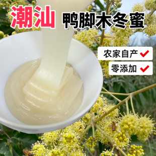 乡里阿蓉【鸭脚木冬蜜】纯正真蜂蜜广东潮汕正宗无添加食用蜂蜜
