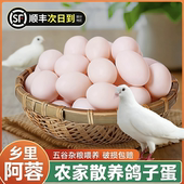 乡里阿蓉 农家新鲜散养鸽子蛋适合孕妇宝宝辅食吃 农家鸽子蛋