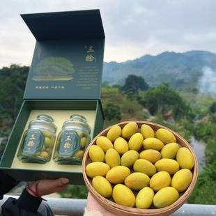 乡里阿蓉 正老树丛三捻三棱橄榄潮汕特产 378年下寮村三捻橄榄