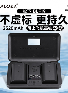星威DMW-BLF19E相机电池适用松下DMC-GH4 GH5 GH3 GH5S微单充电器