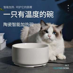 新款 宠物碗猫碗狗碗加热保温喝热水神器陶瓷碗喂食饮水器碗宠物用