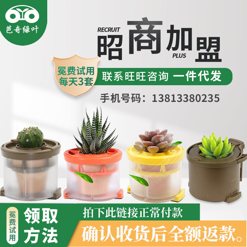 招商加盟汽车植物摆件一件代发分摆件
